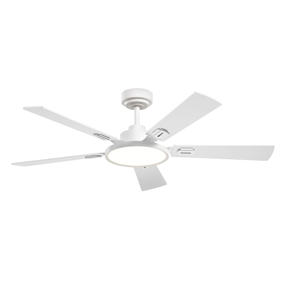 52" Ceiling Fan with Light, Remote, 3CCT, Reversible, Indoor/Outdoor