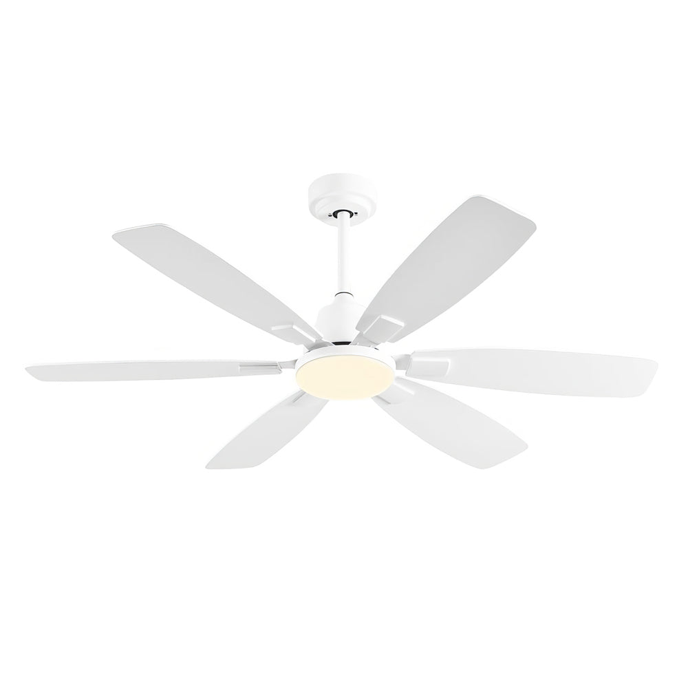 52" Ceiling Fan with Light, Remote, 6-Speed DC Motor, Indoor/Outdoor
