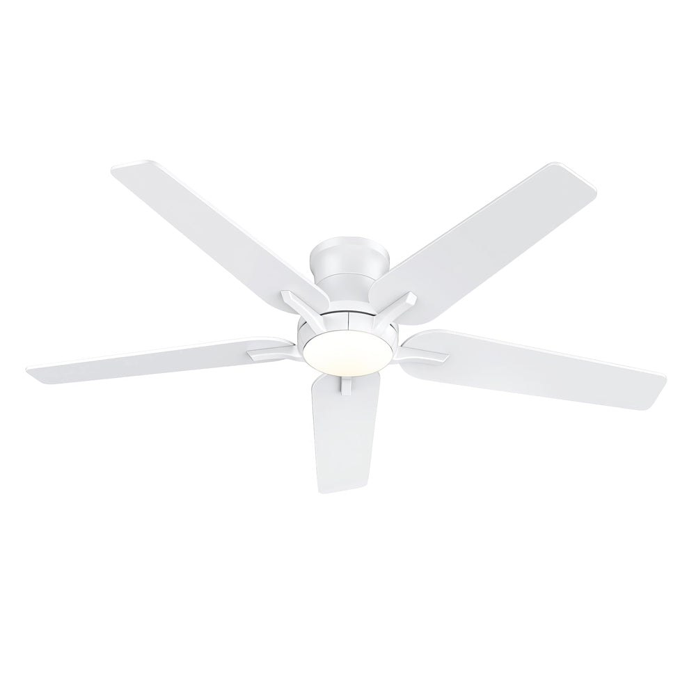 72" Ceiling Fan with Light, 9 Blades, Remote, Reversible, Indoor/Outdoor